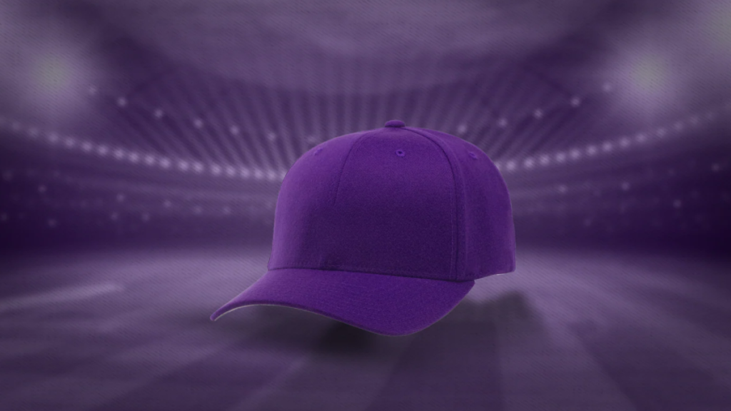 WPL Purple Cap List 2024